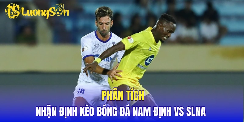 Phân tích, nhận định kèo bóng đá Nam Định vs SLNA