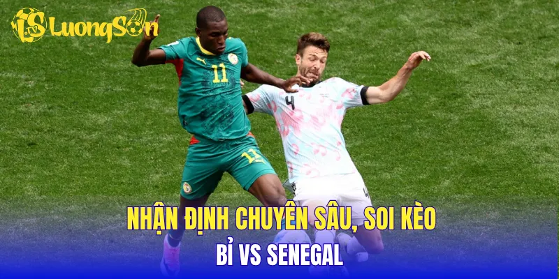 Nhận định chuyên sâu, soi kèo Bỉ vs Senegal 